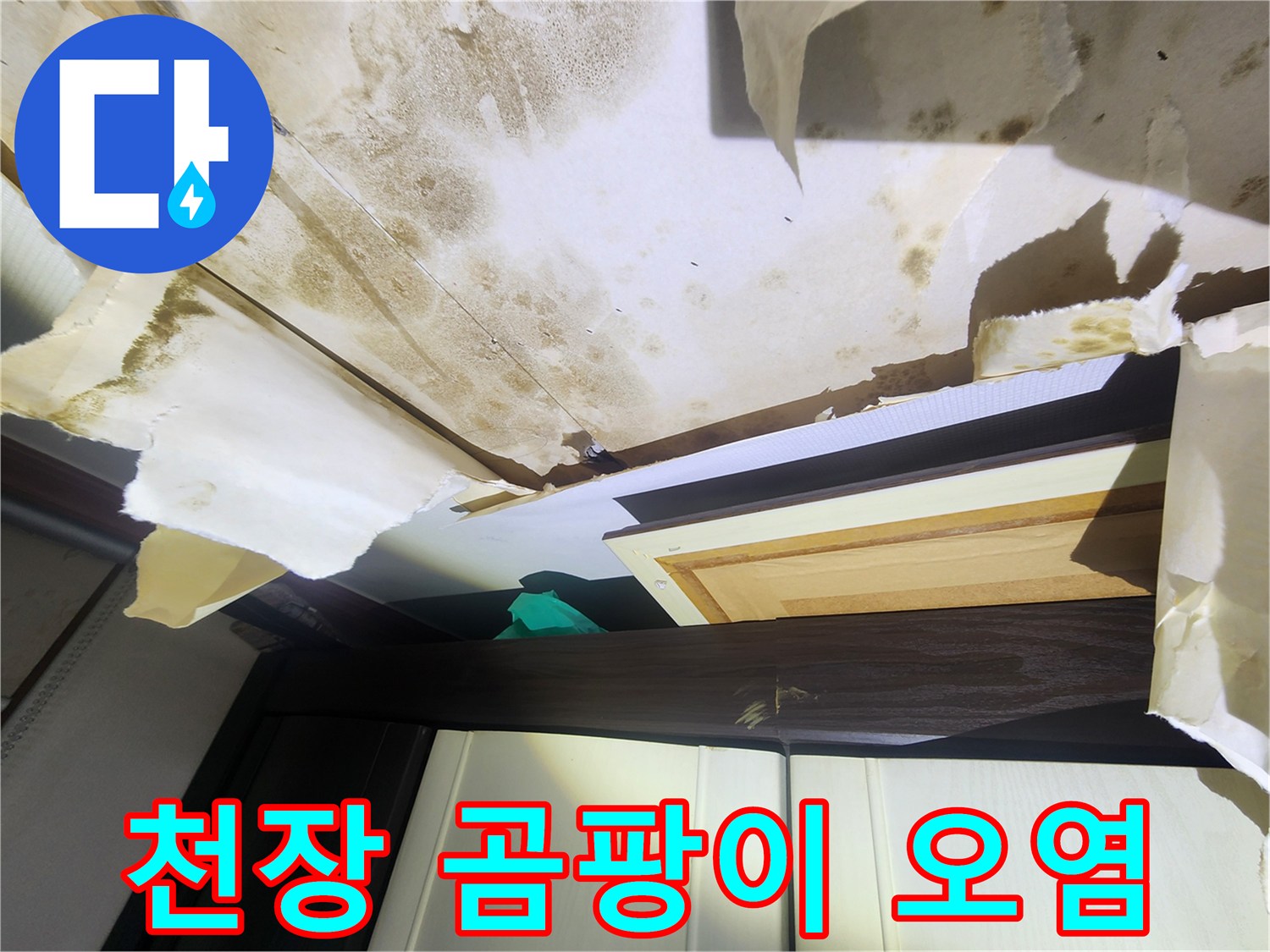 오염된 천장-습기로 인한 곰팡이와 변색된 도배지