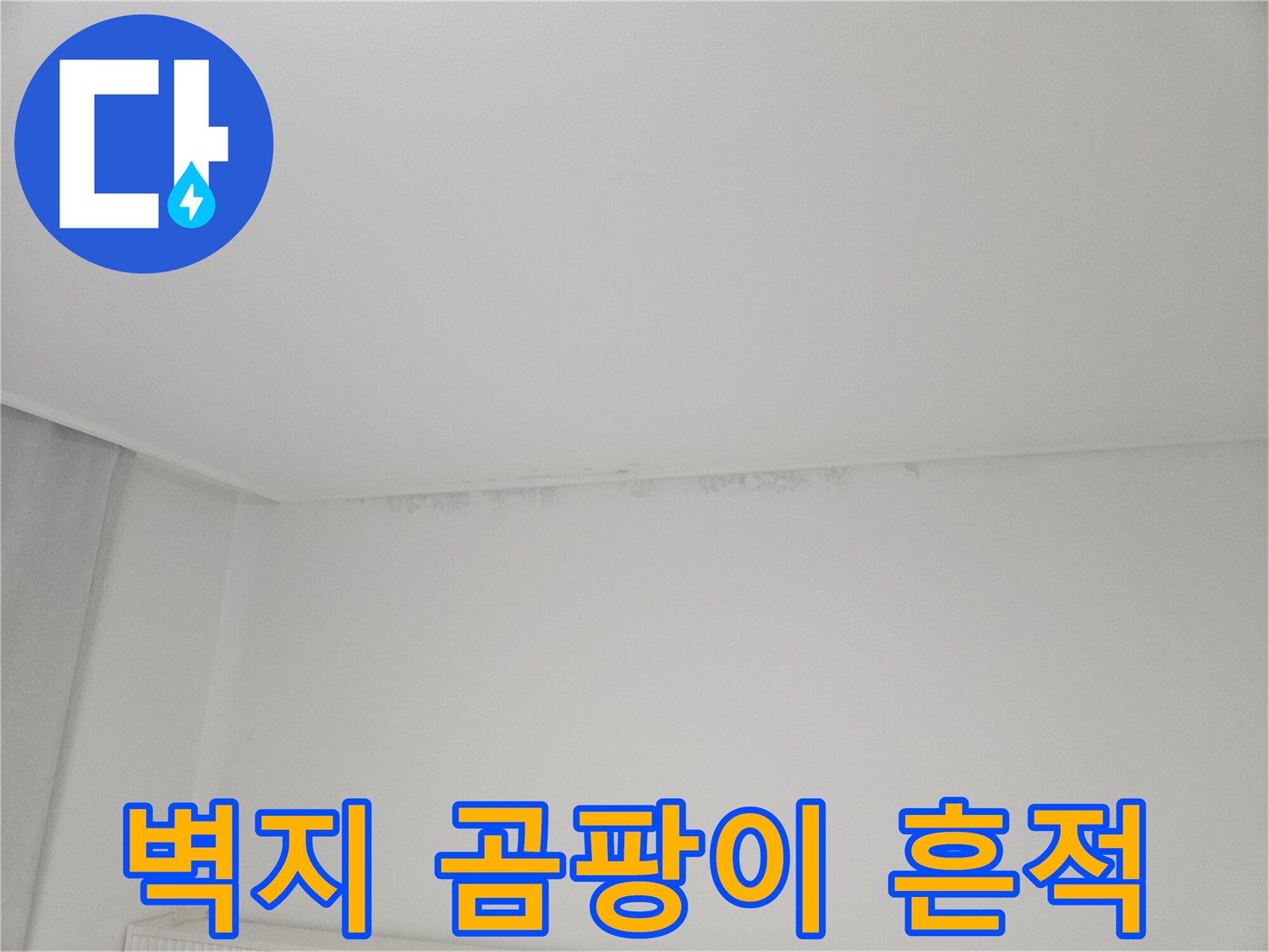 천장-모서리-벽지의-검은색-곰팡이-흔적