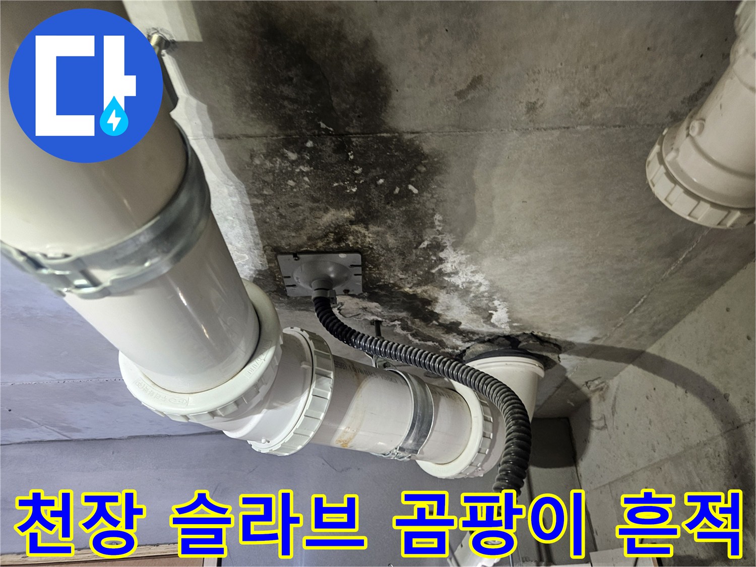 배수-배관-주변의-검은색-곰팡이와-습기-오염
