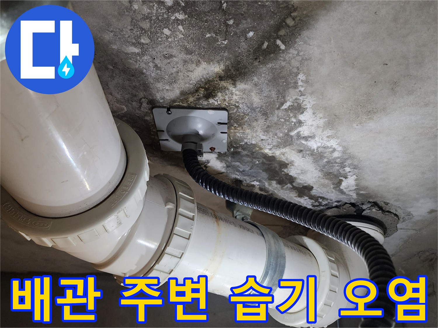 축축하게-젖어있는-천장-배관-주변의-오염상태