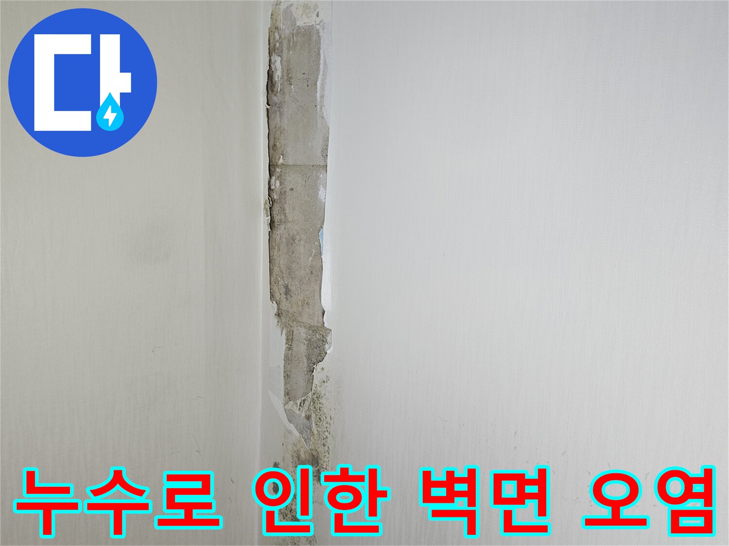 물샘으로 인해 곰팡이가 발생한 천장 경계 부위