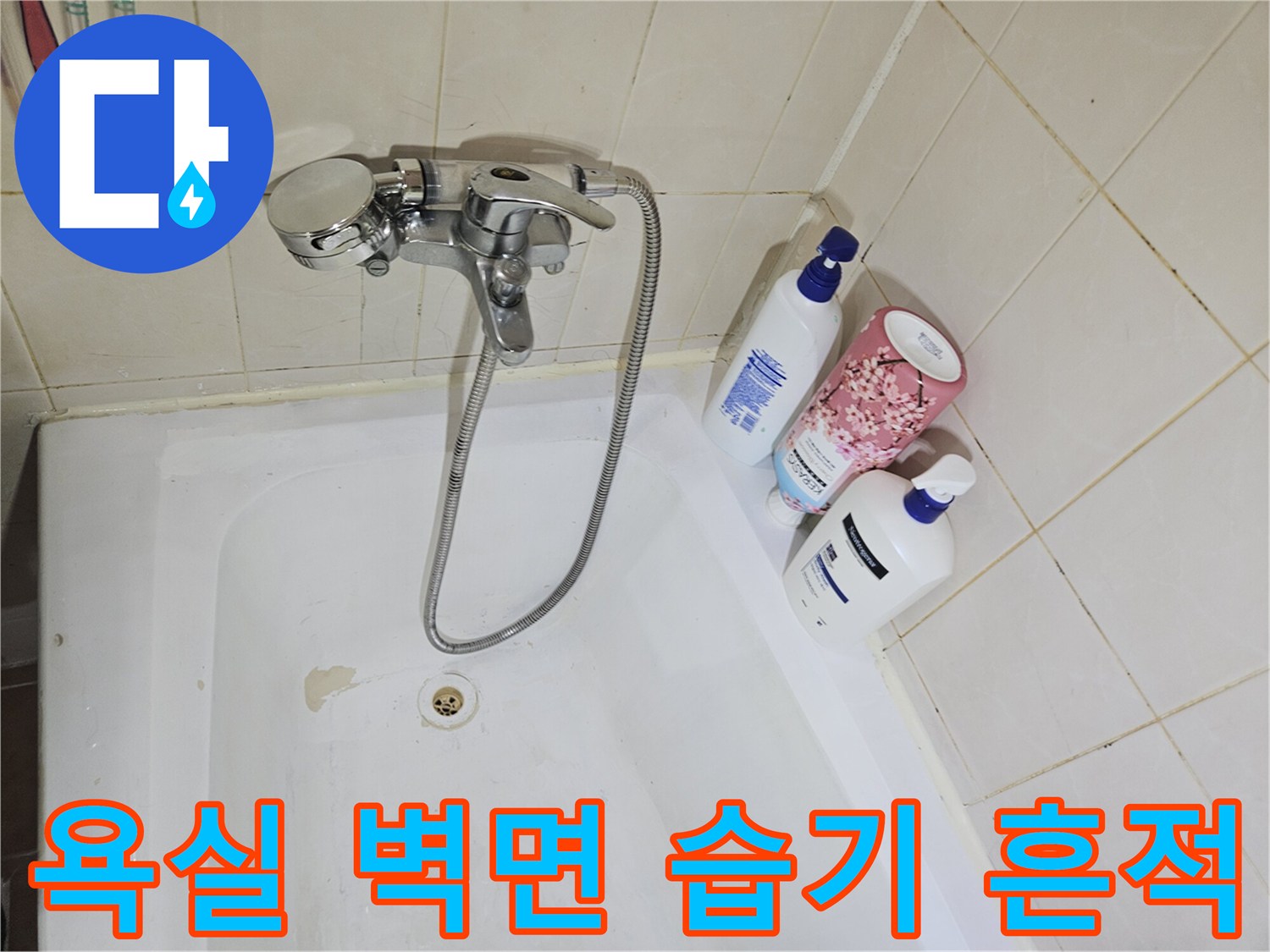 백석동 화장실 현장-타일 사이 물샘 확인