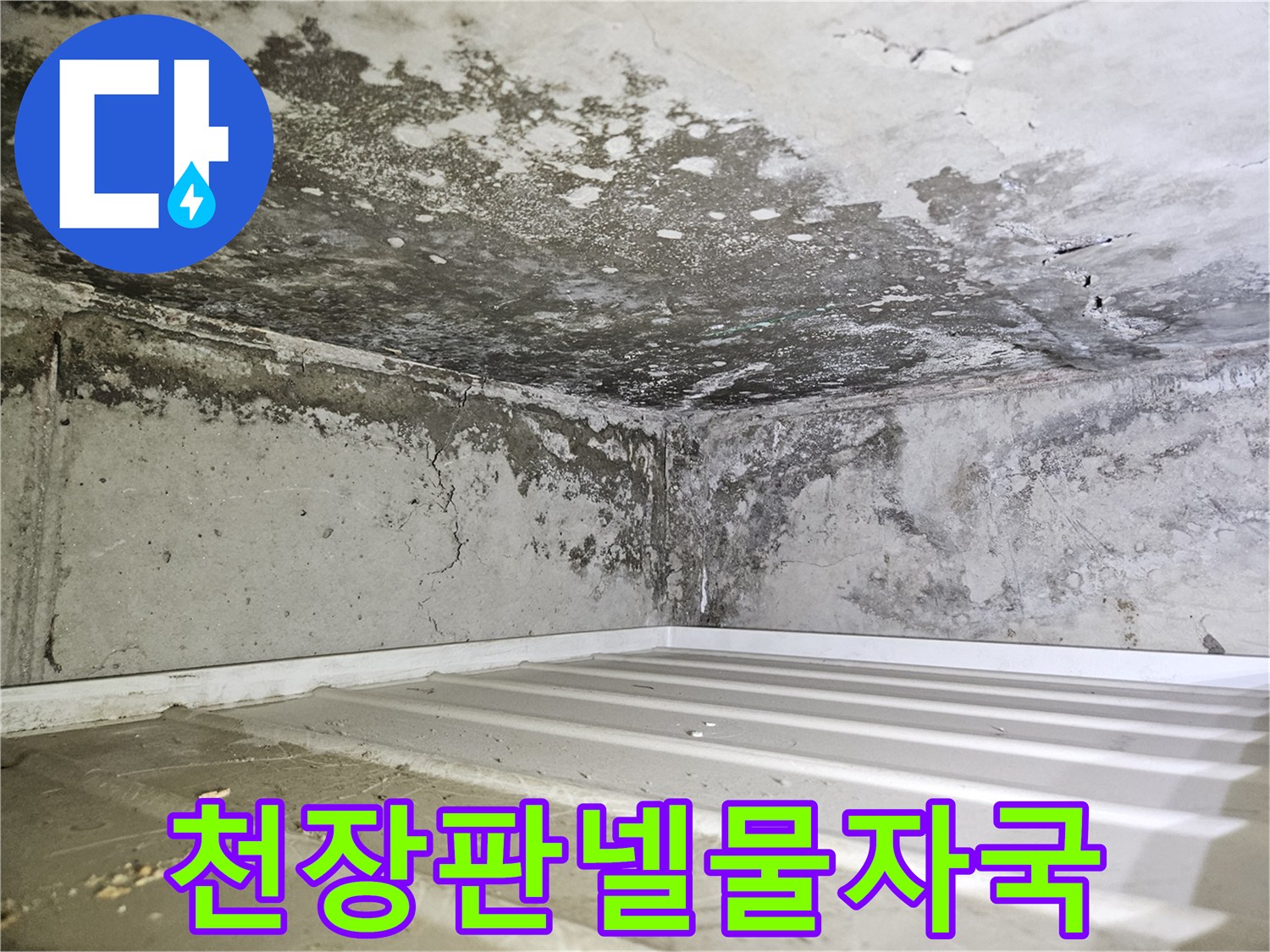 습기가-가득한-화장실-천장-내부-벽면