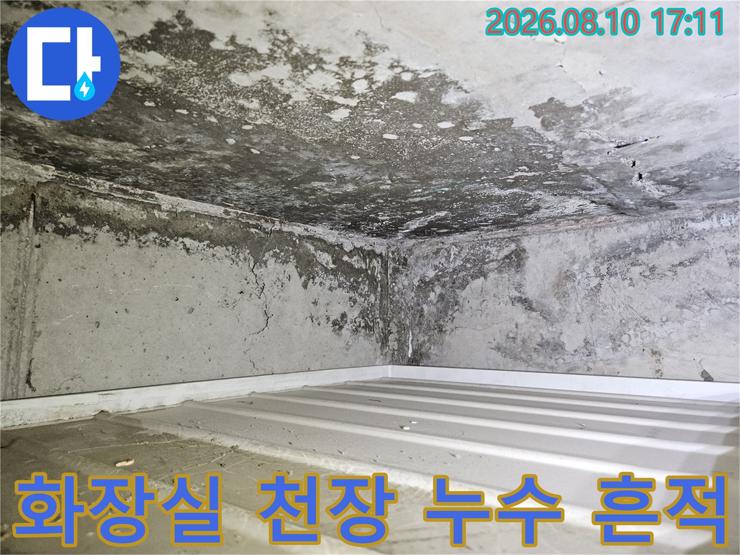 일산동구 아파트 화장실 천장재의 젖은 물자국과 오염 상태