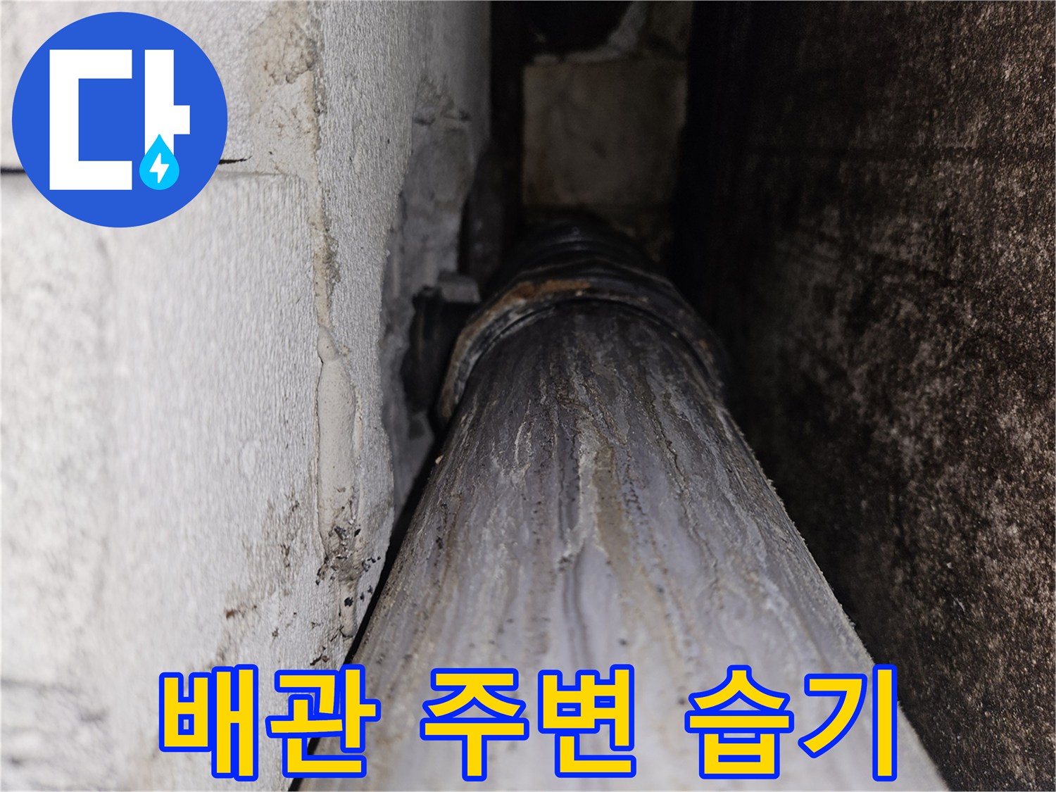 축축하게-젖어있는-천장-내부-배관-상태