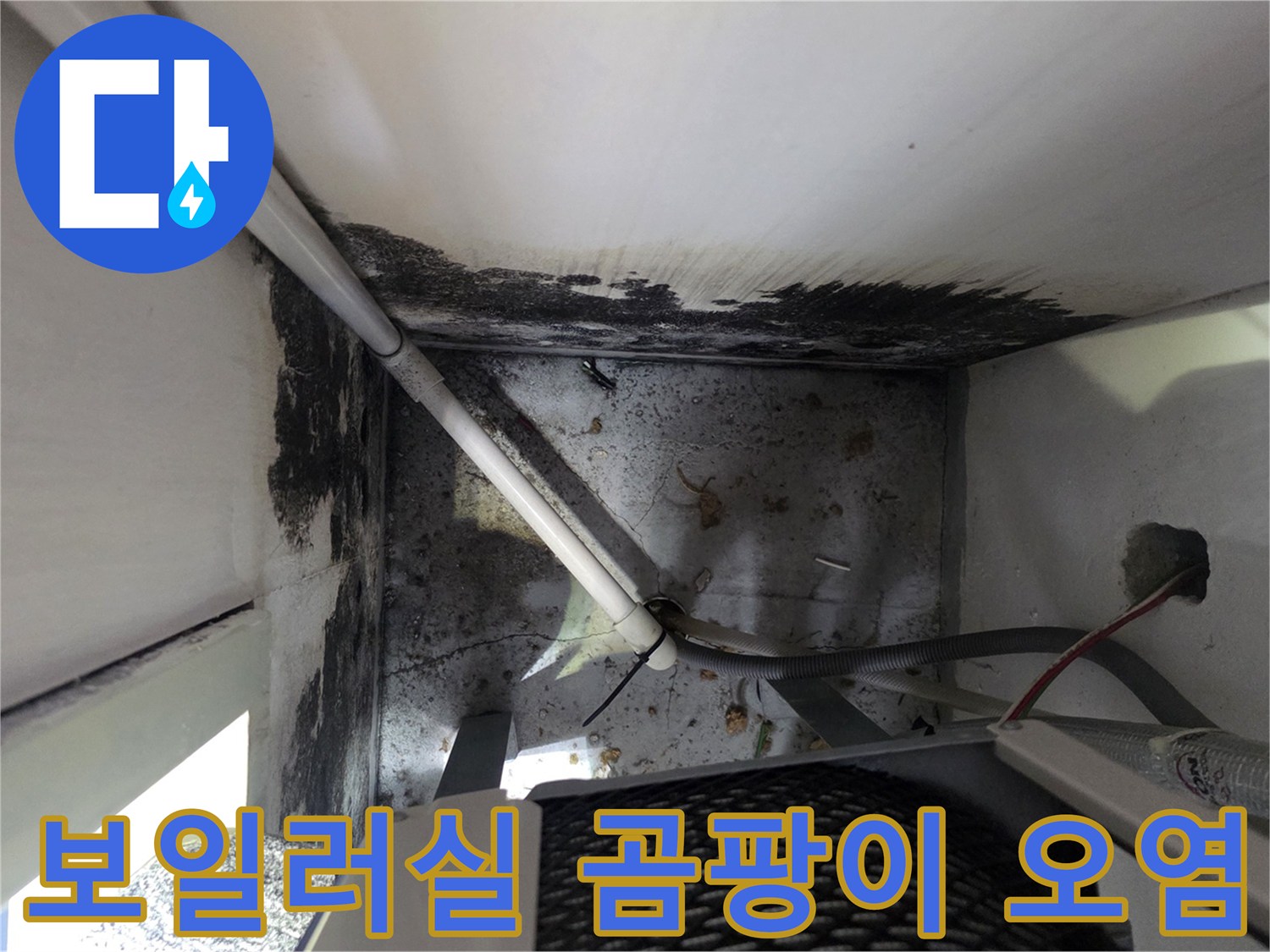 배관 주변 벽면에 퍼진 곰팡이와 습기 흔적