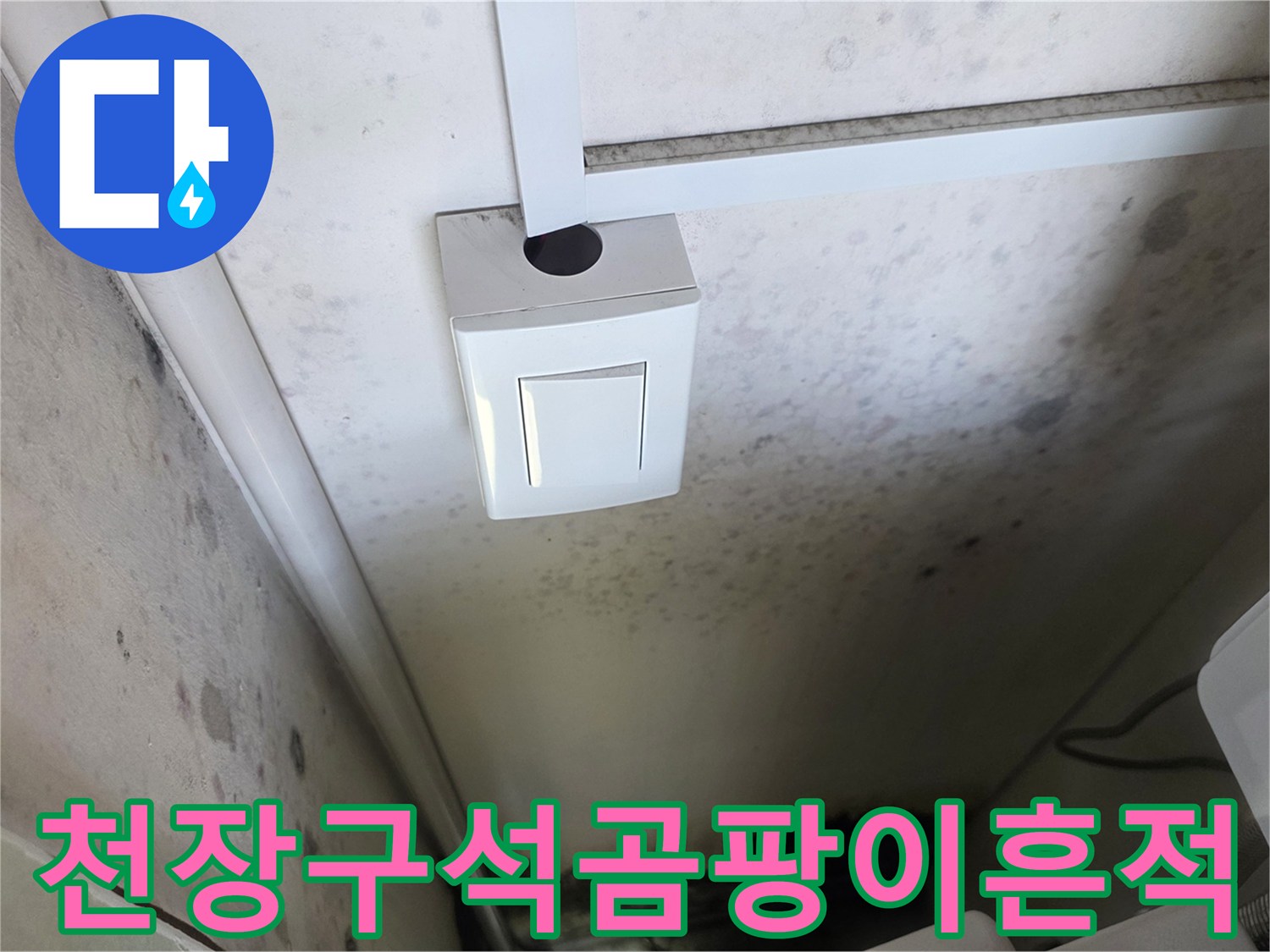보일러실-벽면-천장-경계의-습기와-곰팡이
