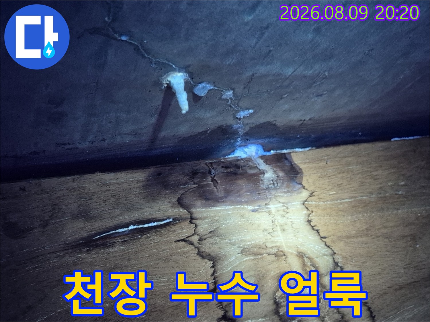 구리 인창동 현장의 천장 물자국과 곰팡이 흔적