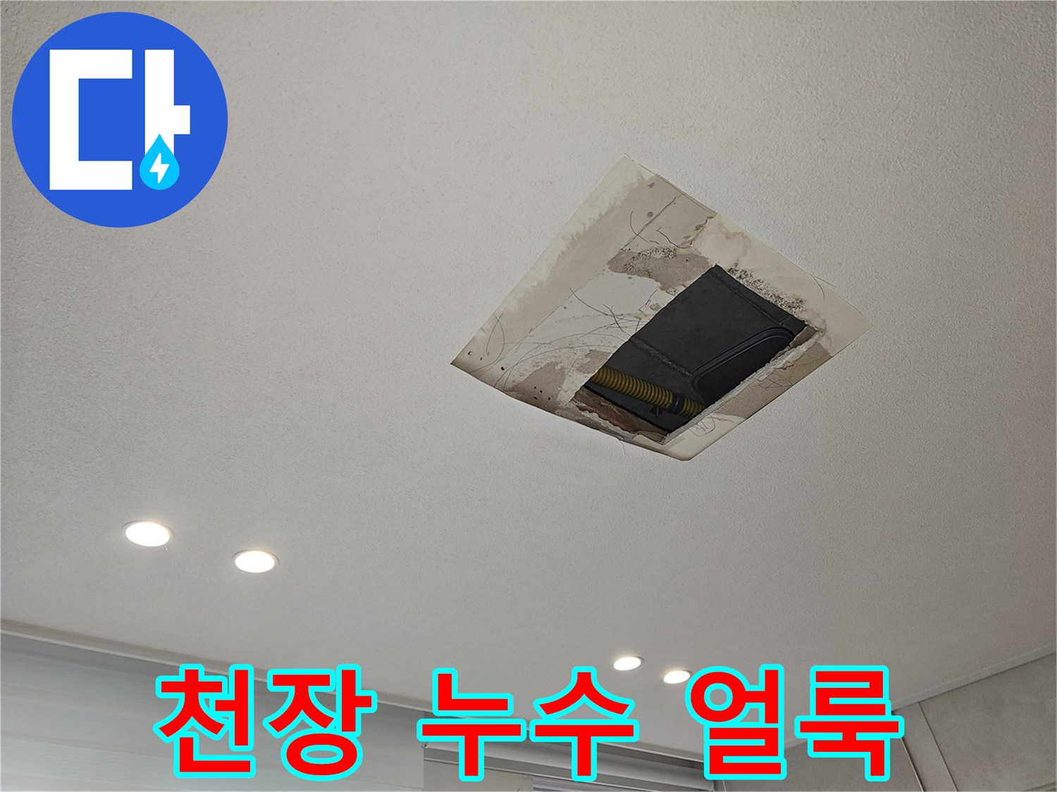 점검구 주변의 젖은 천장 마감재 모습