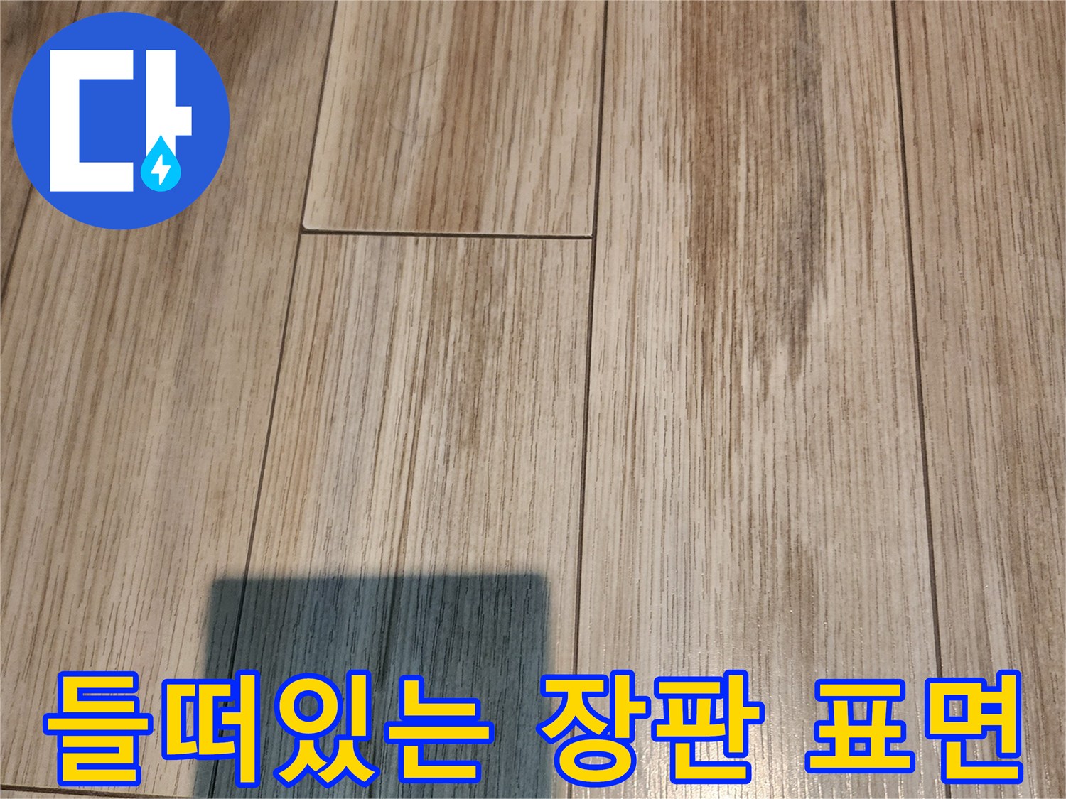 물기로 인해 불룩하게-솟아오른 장판 부위