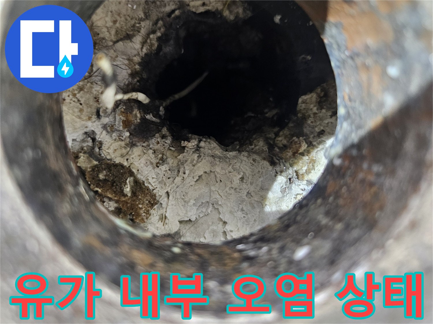 배수구-입구-안쪽의-오염된-방수층을-촬영한-사진