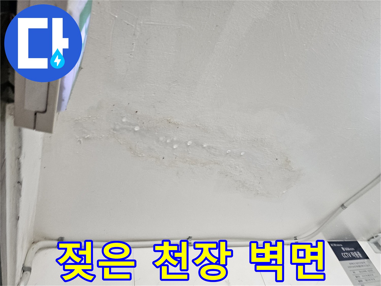 습기로 인해 변색된 천장 마감재 모습
