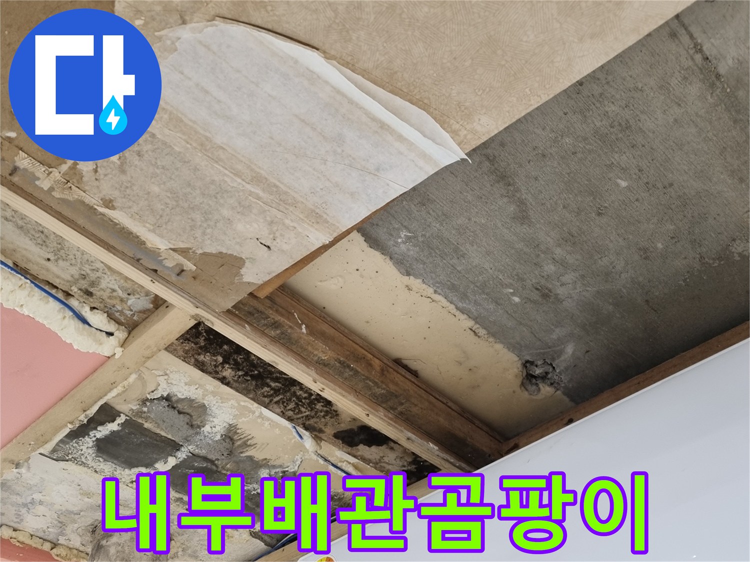벽면-파쇄-후-확인한-젖은-배관-주변