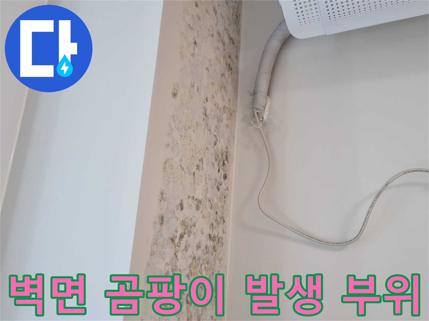 에어컨 배관 주변-습기로 인한 곰팡이 번식