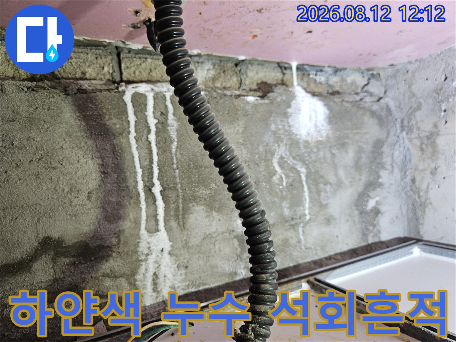 천장 전선관 주변에 하얗게 발생한 백화 현상과 누수 자국