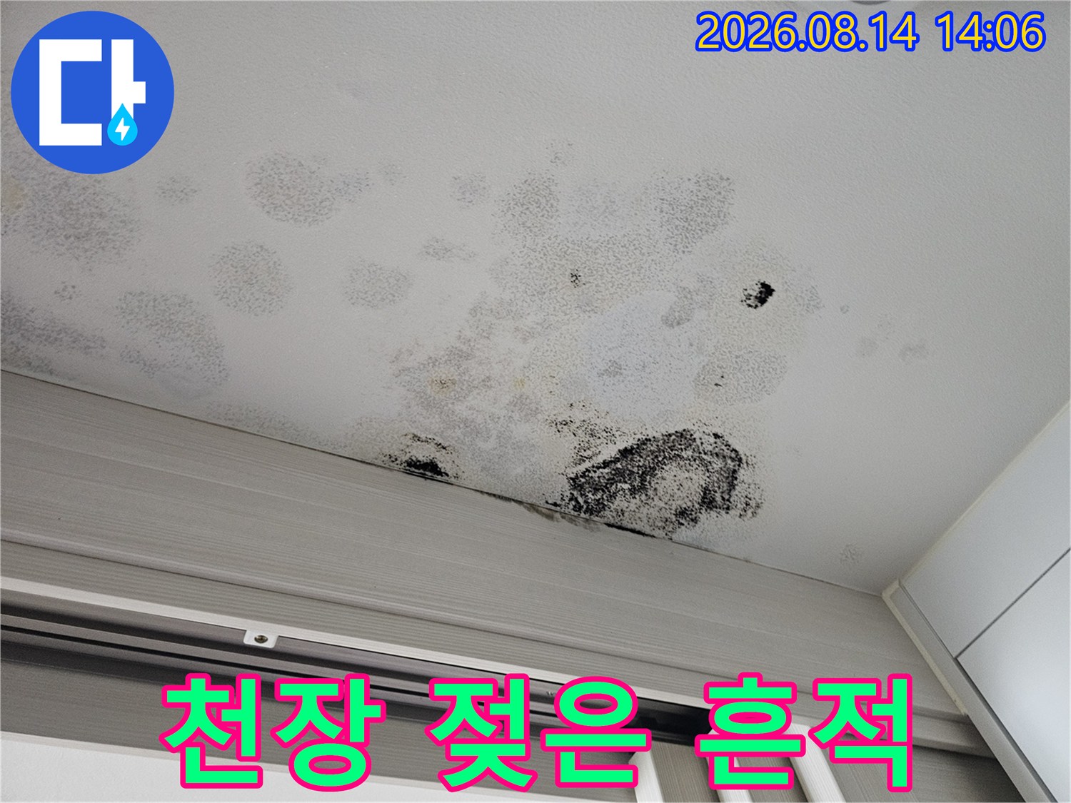 물샘으로 인해 얼룩지고 곰팡이가 생긴 천장