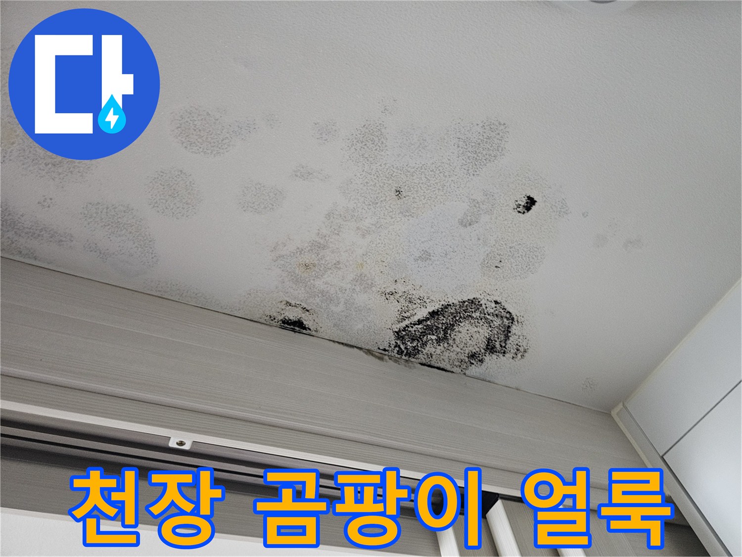 안산 단원구 아랫집 중문 천장에 발생한 곰팡이와 물얼룩 상태