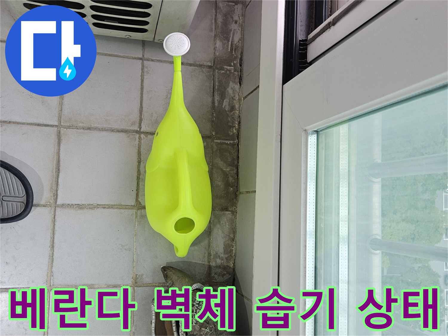 분당 아파트 현장-축축하게 젖은 타일 벽면