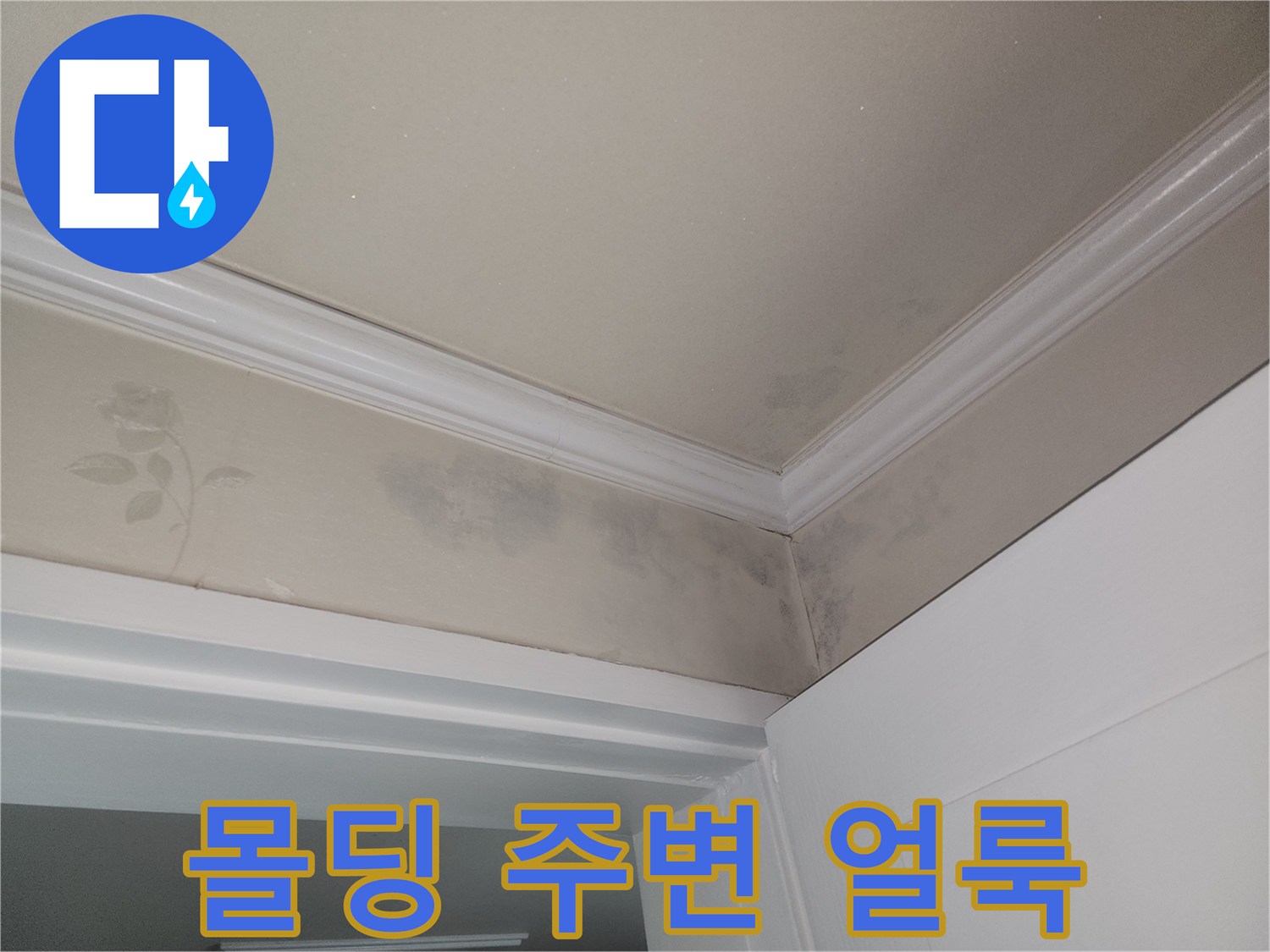 천장-몰딩-경계-부분의-젖은-물자국
