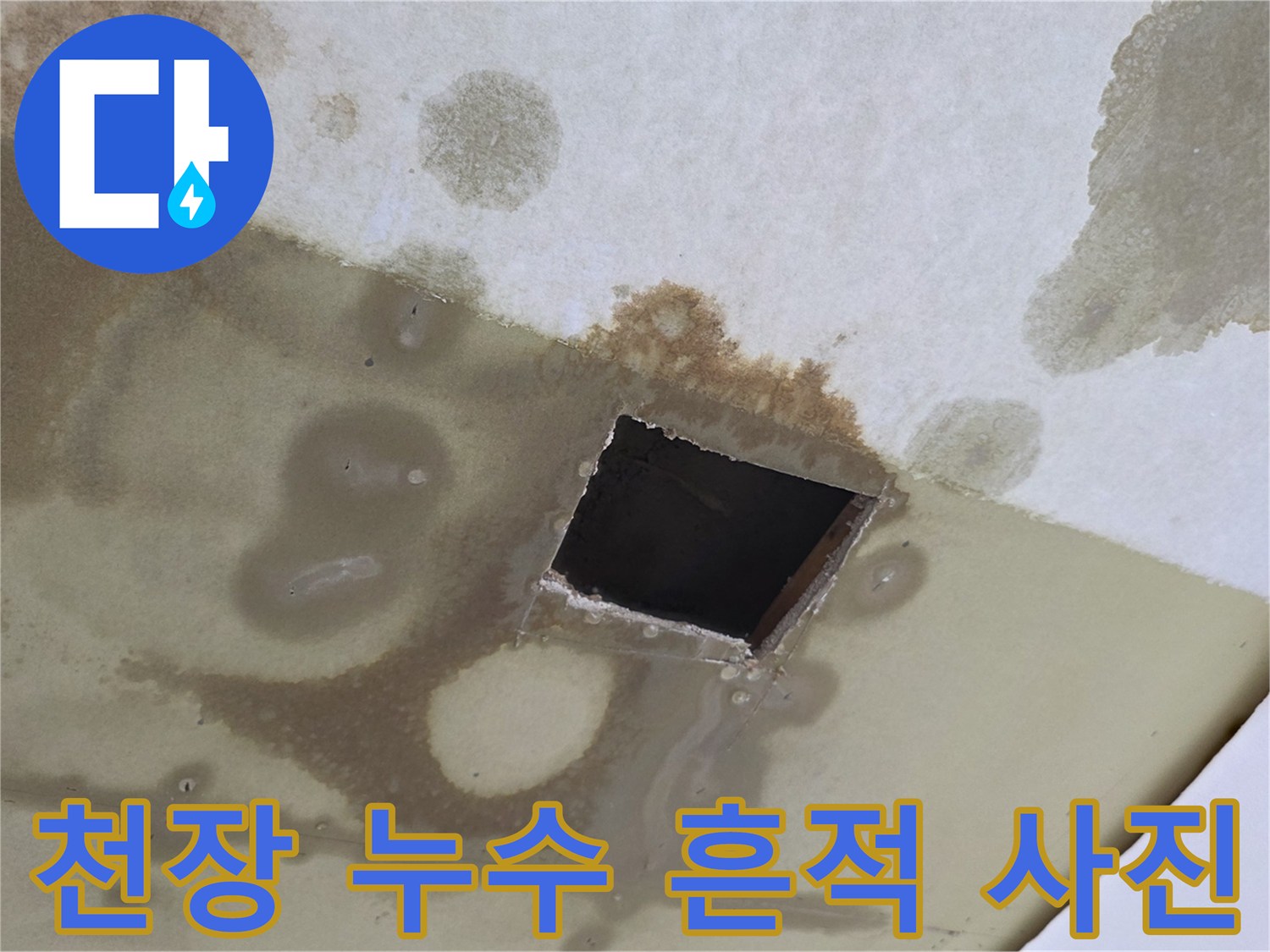 물샘으로 인해 얼룩진 천장의 모습입니다.