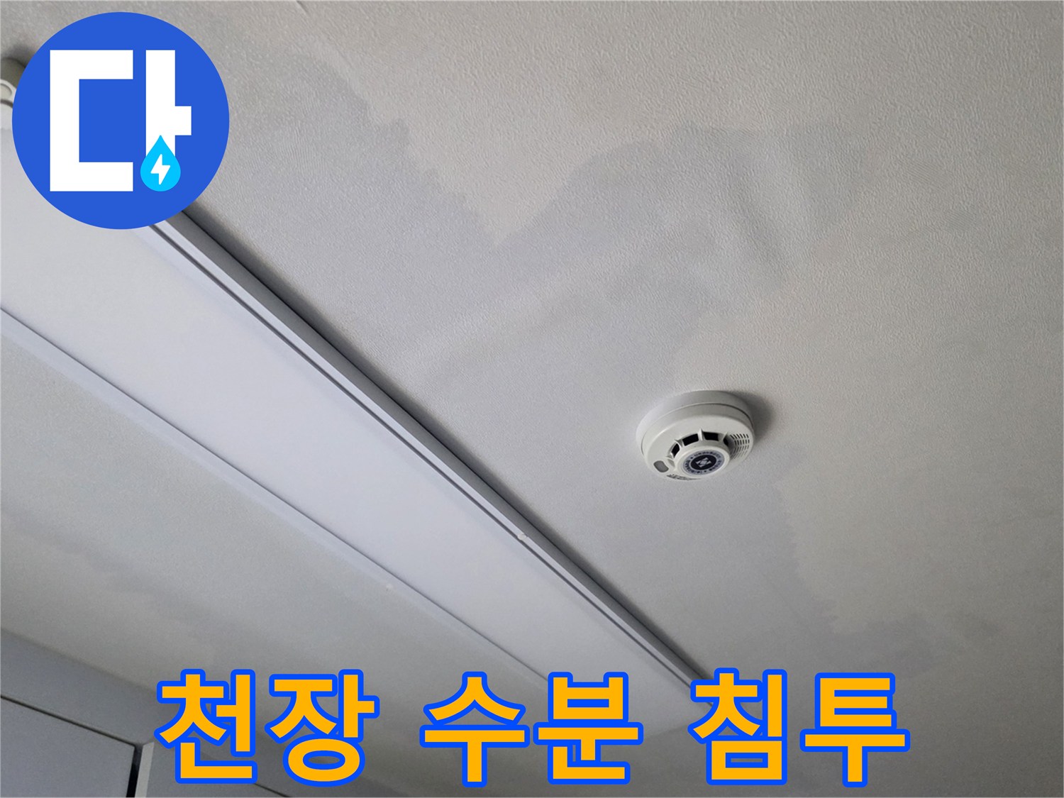 천장 조명 주변의 물샘 흔적과 얼룩