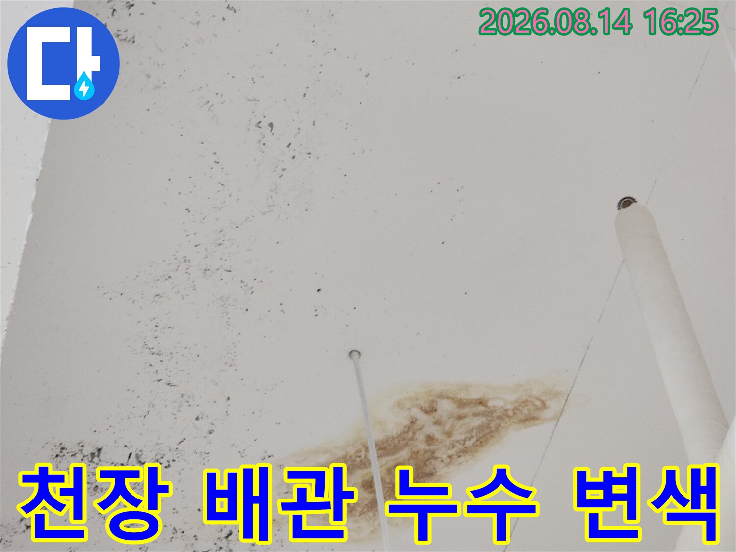 흰색 천장 마감재의 갈색 누수 얼룩과 배관 구조