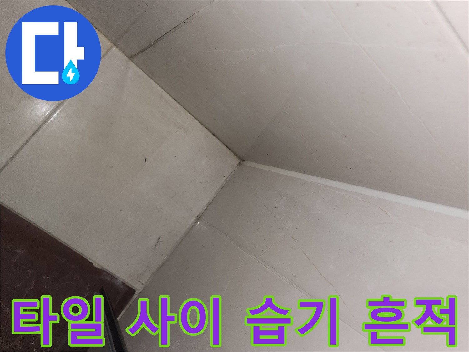 하얀 타일 줄눈의 어두운 오염 상태