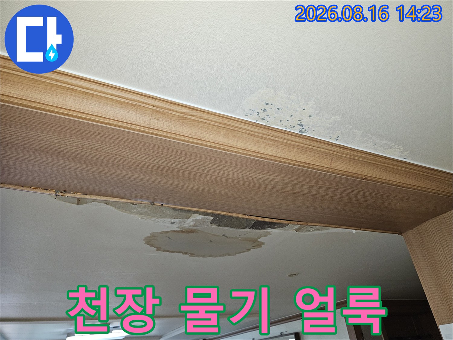 몰딩 근처의-심한 천장 누수 얼룩 부위