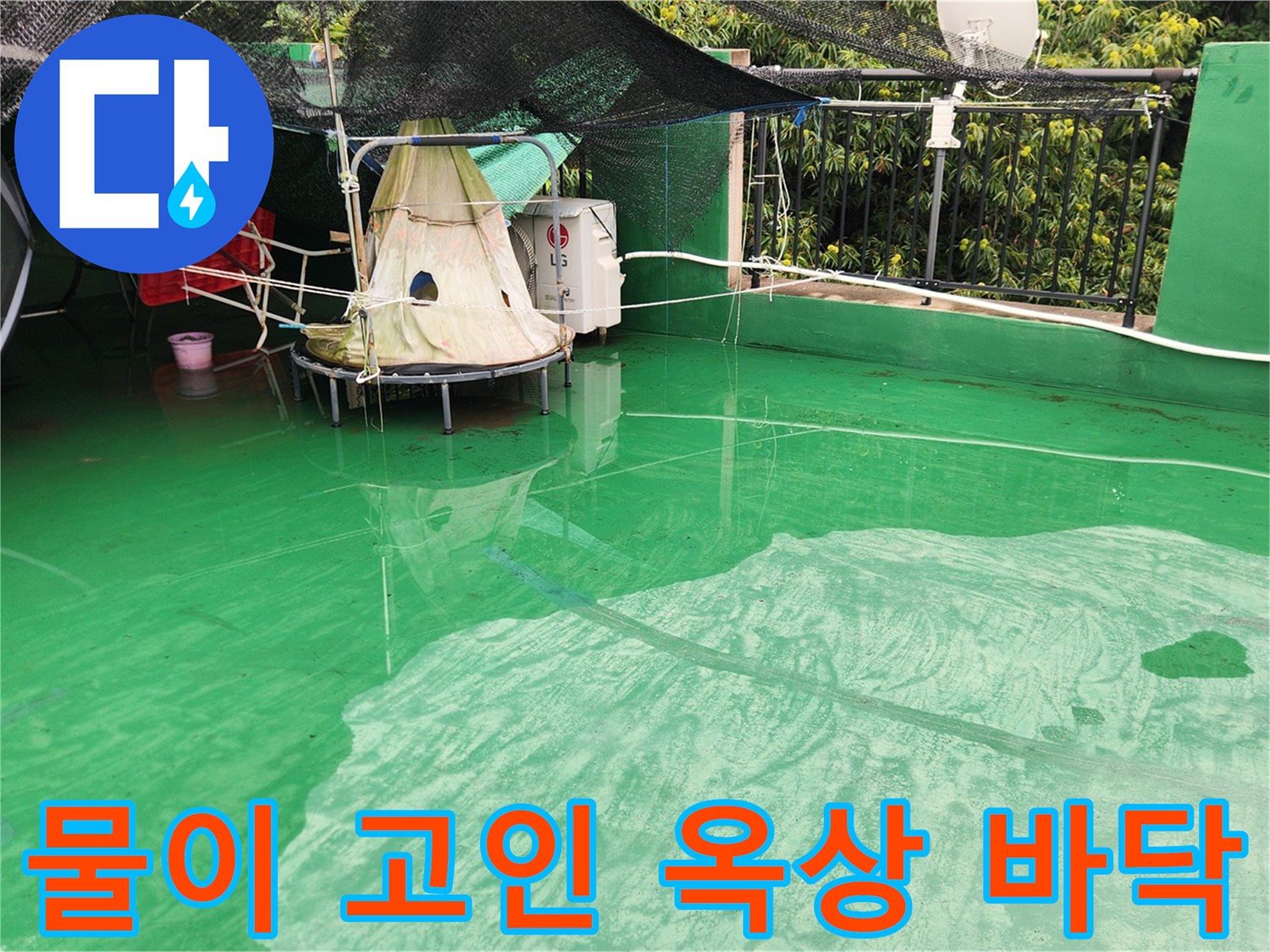 초록색 방수층-물이 빠지지 않고 정체된 모습