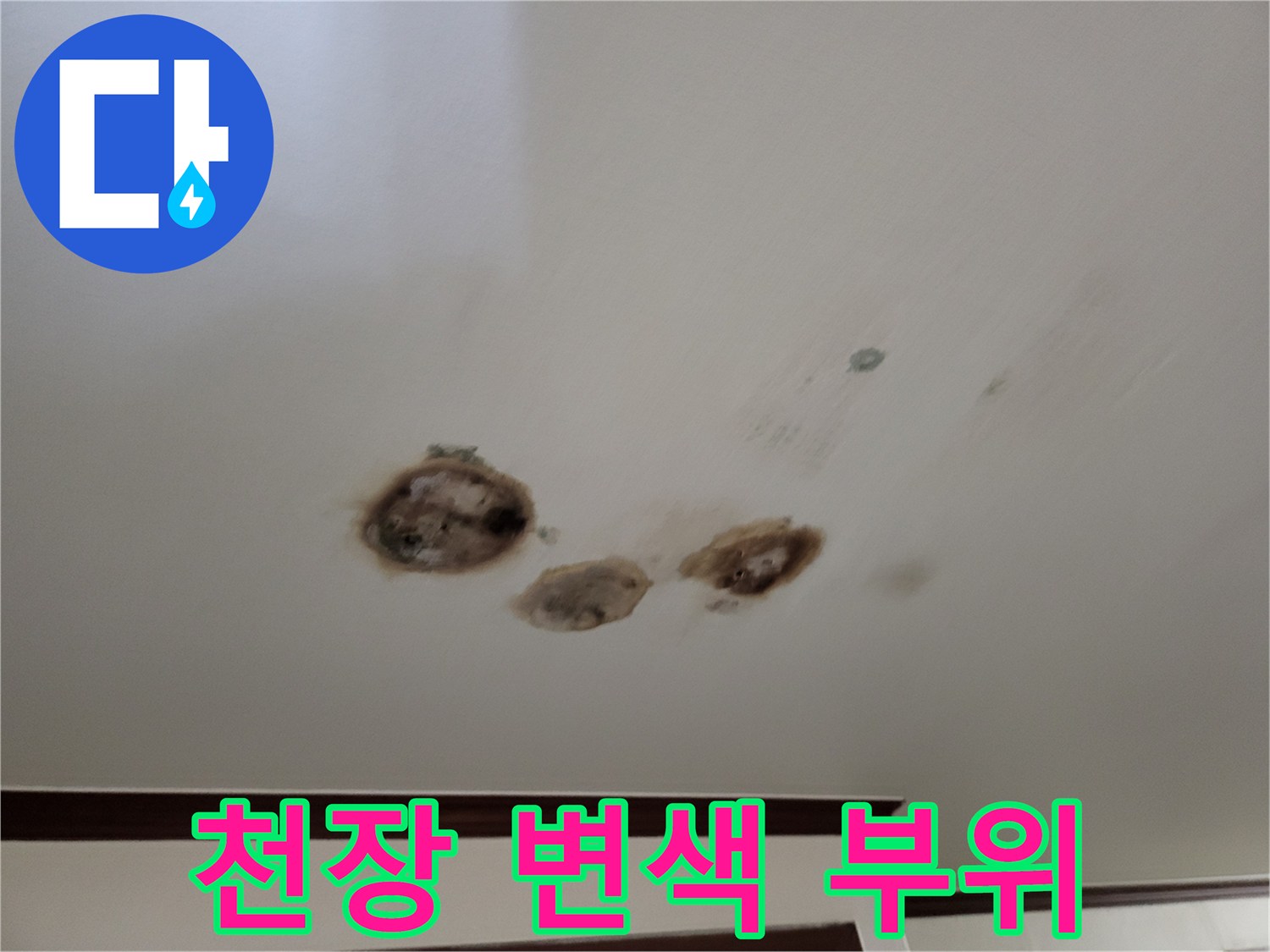 젖은 천장-습기로 인해 어둡게 변한 마감재
