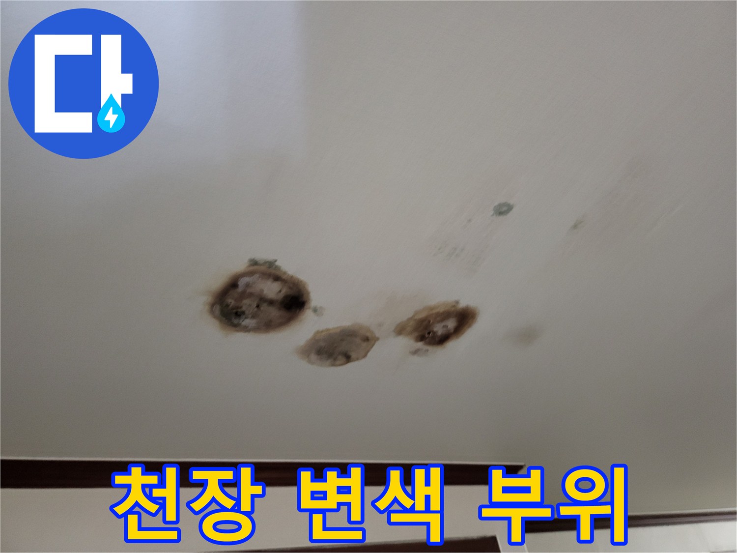 천장-벽면-얼룩진-누수-피해-상황