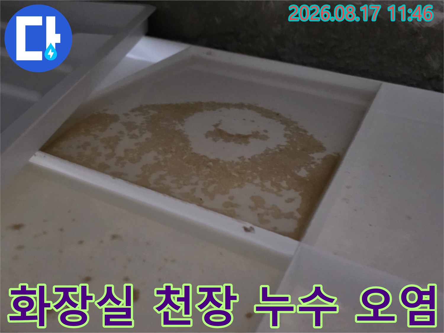천장 구조물 내부의 배관 주변 습윤 및 얼룩 상태