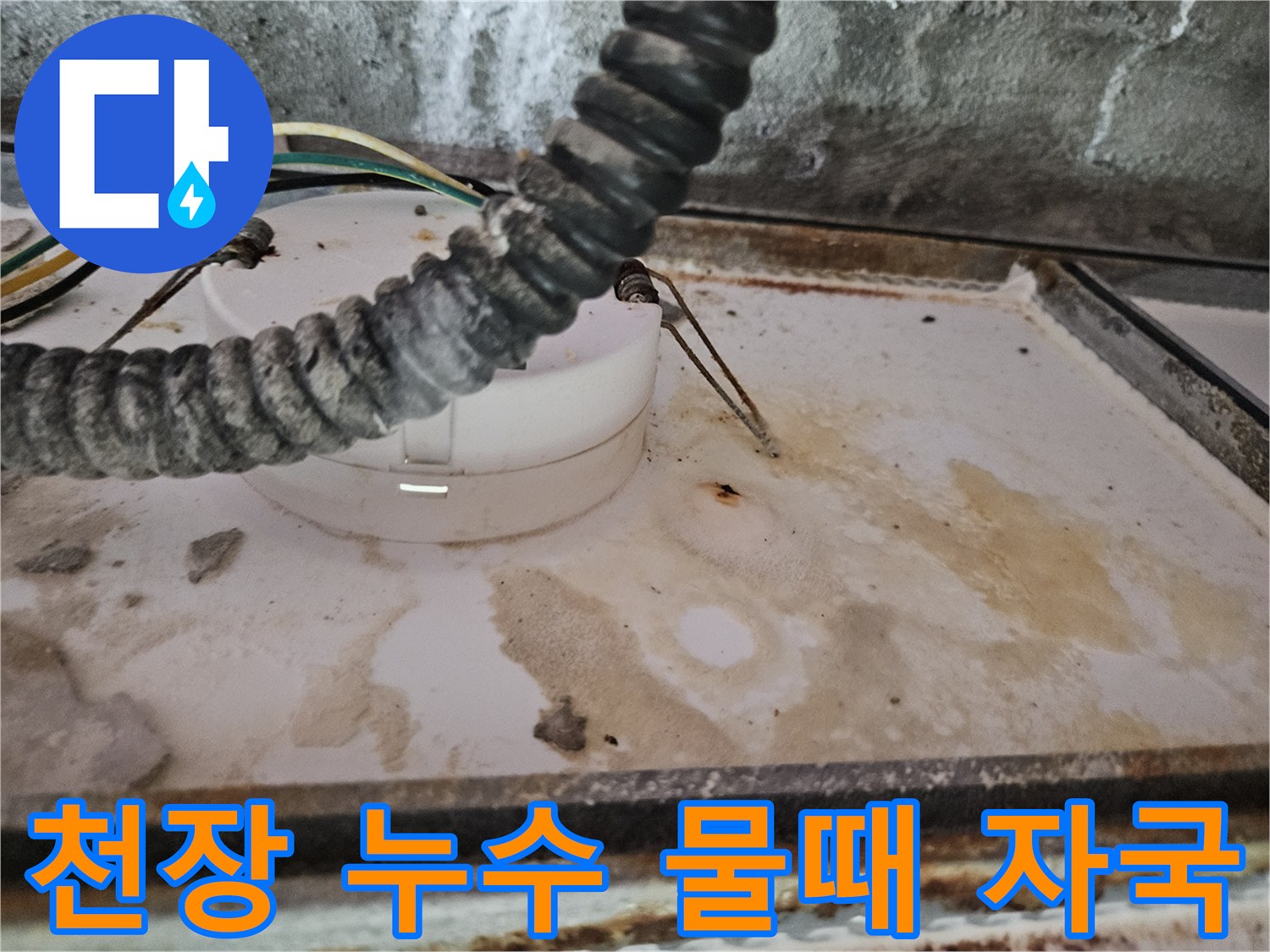배관 주변에 넓게 퍼진 누수 흔적과 얼룩