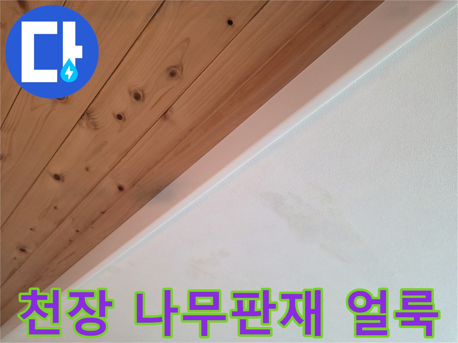 나무 천장재의 습윤된 변색 부위