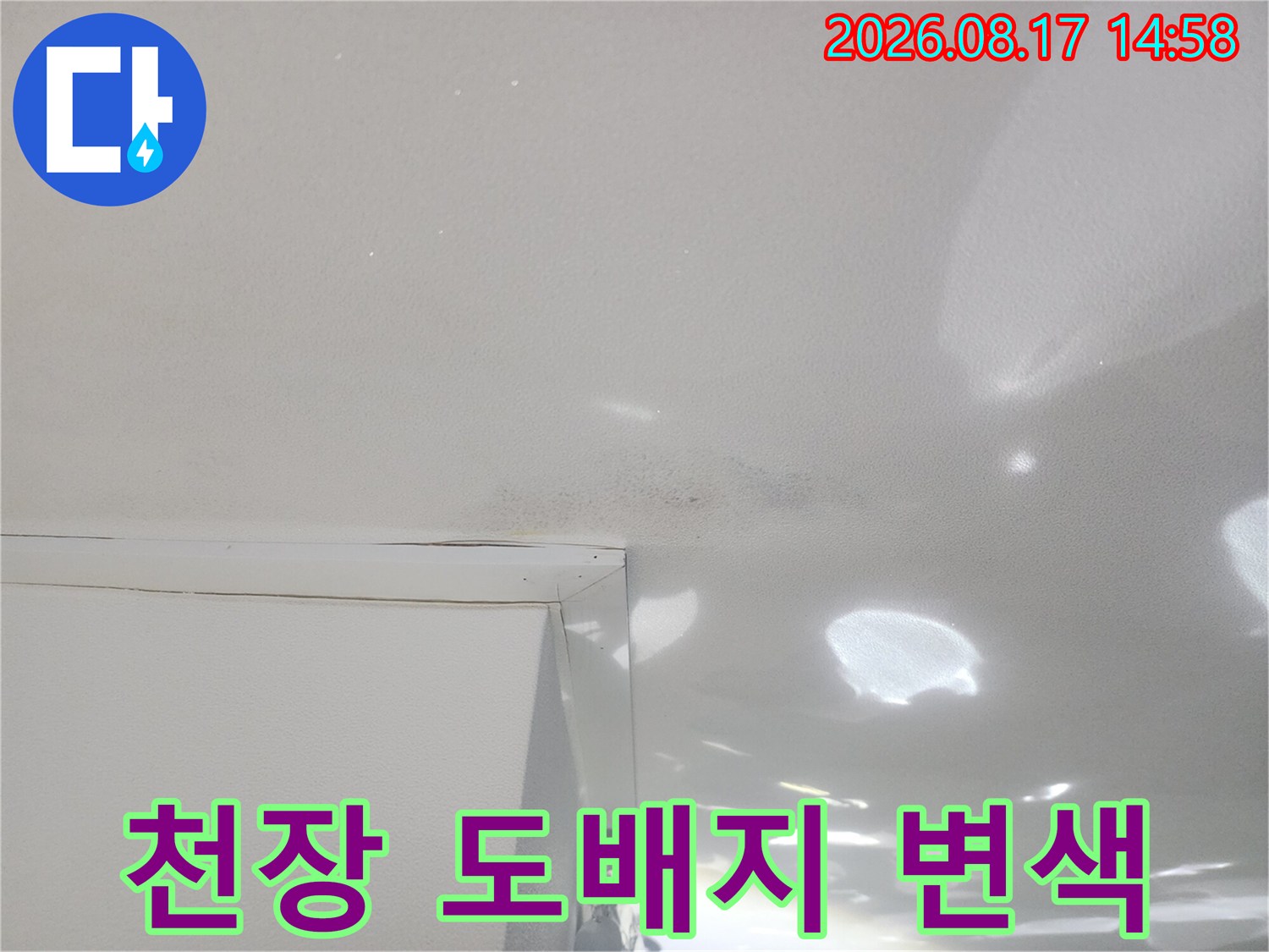 천장 도배지가 습기로 인해 어둡게 변색된 모습
