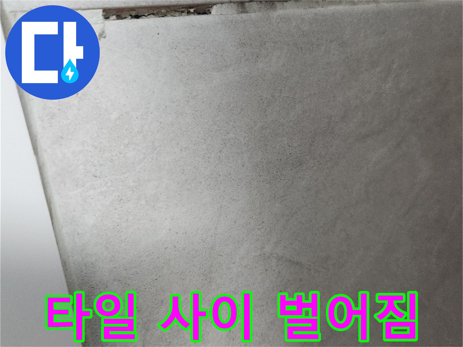 벌어진 타일 틈새와 균열 부위 근접 촬영