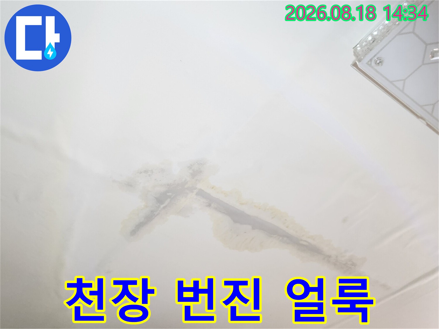 천장 마감재에 넓게 퍼진 물자국과 젖은 흔적