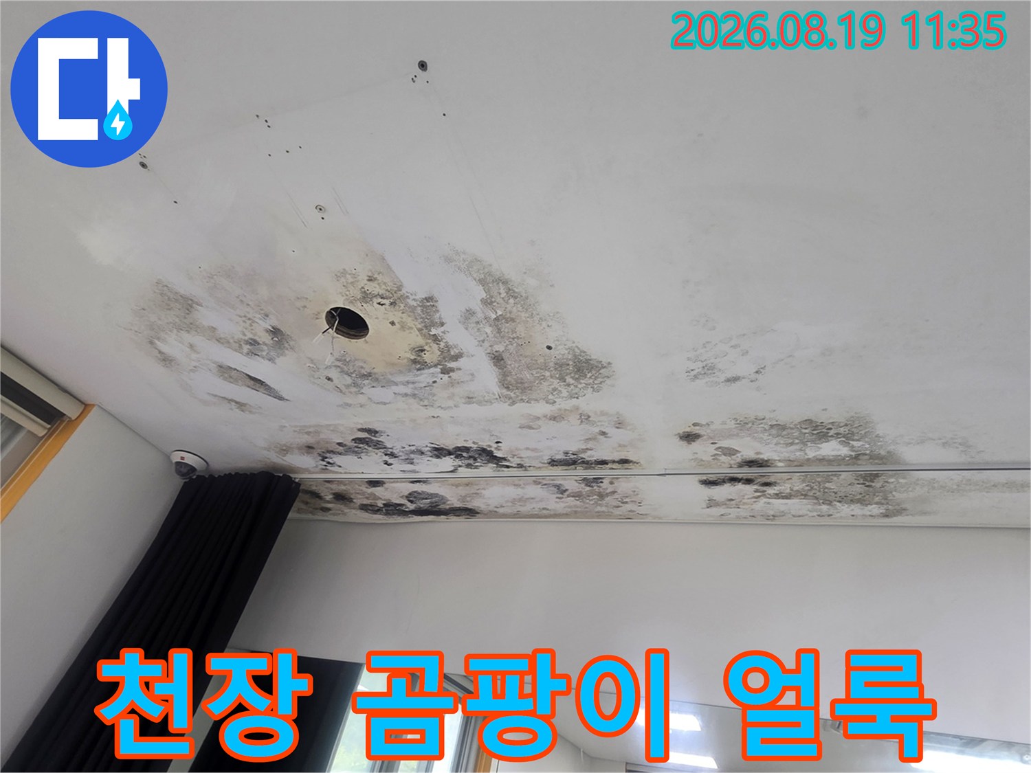 천장 조명 주변-심한 곰팡이와 물자국 현상