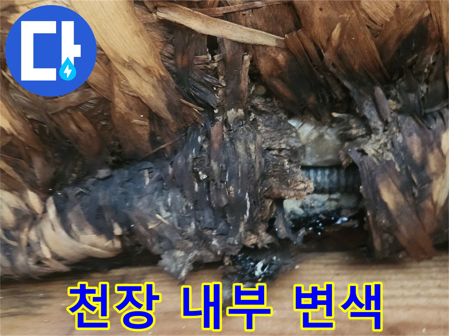 습기에-젖어-변한-목재-표면-상태