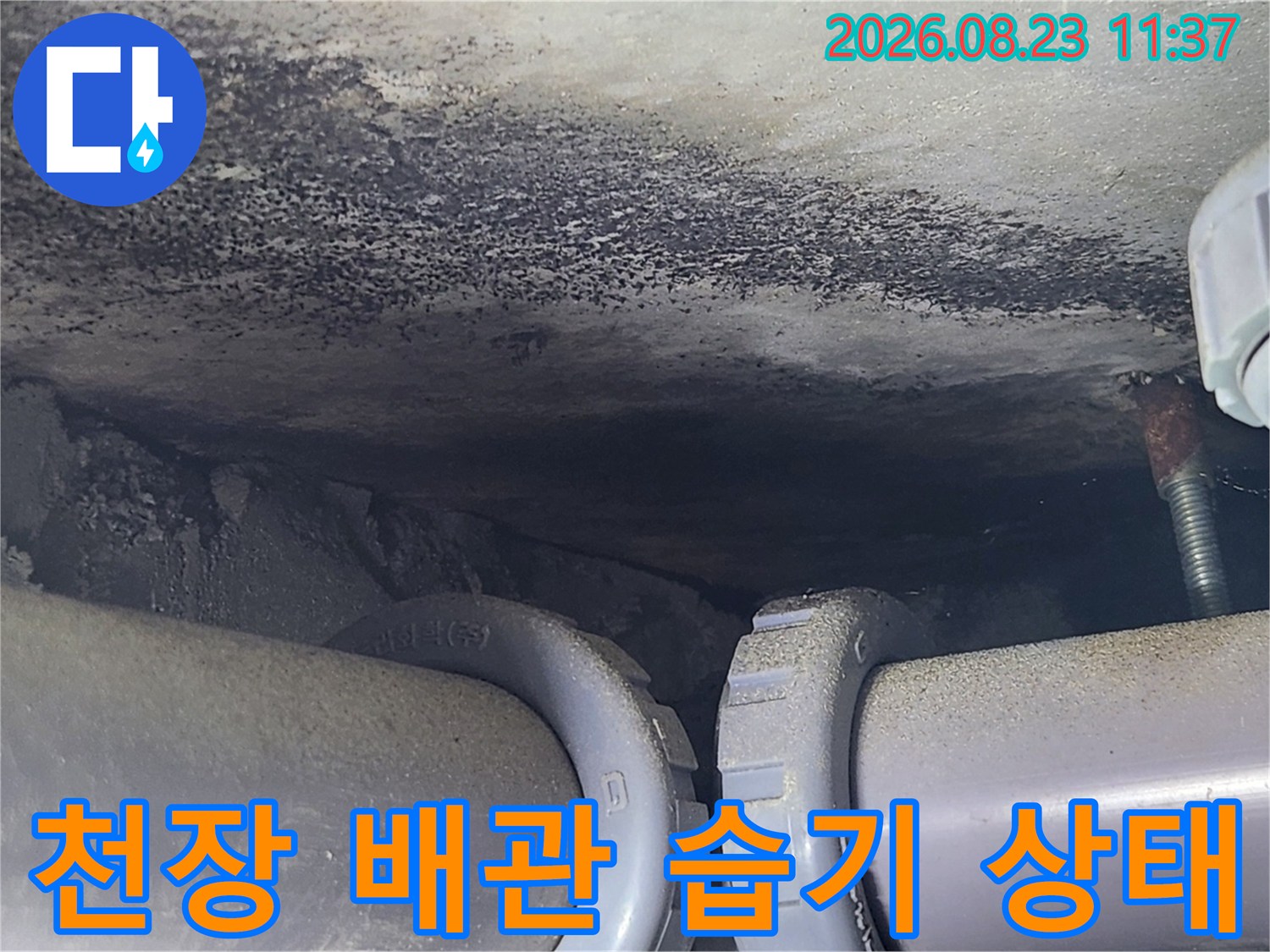 아파트 천장 배관 연결 부위의 젖은 콘크리트 표면