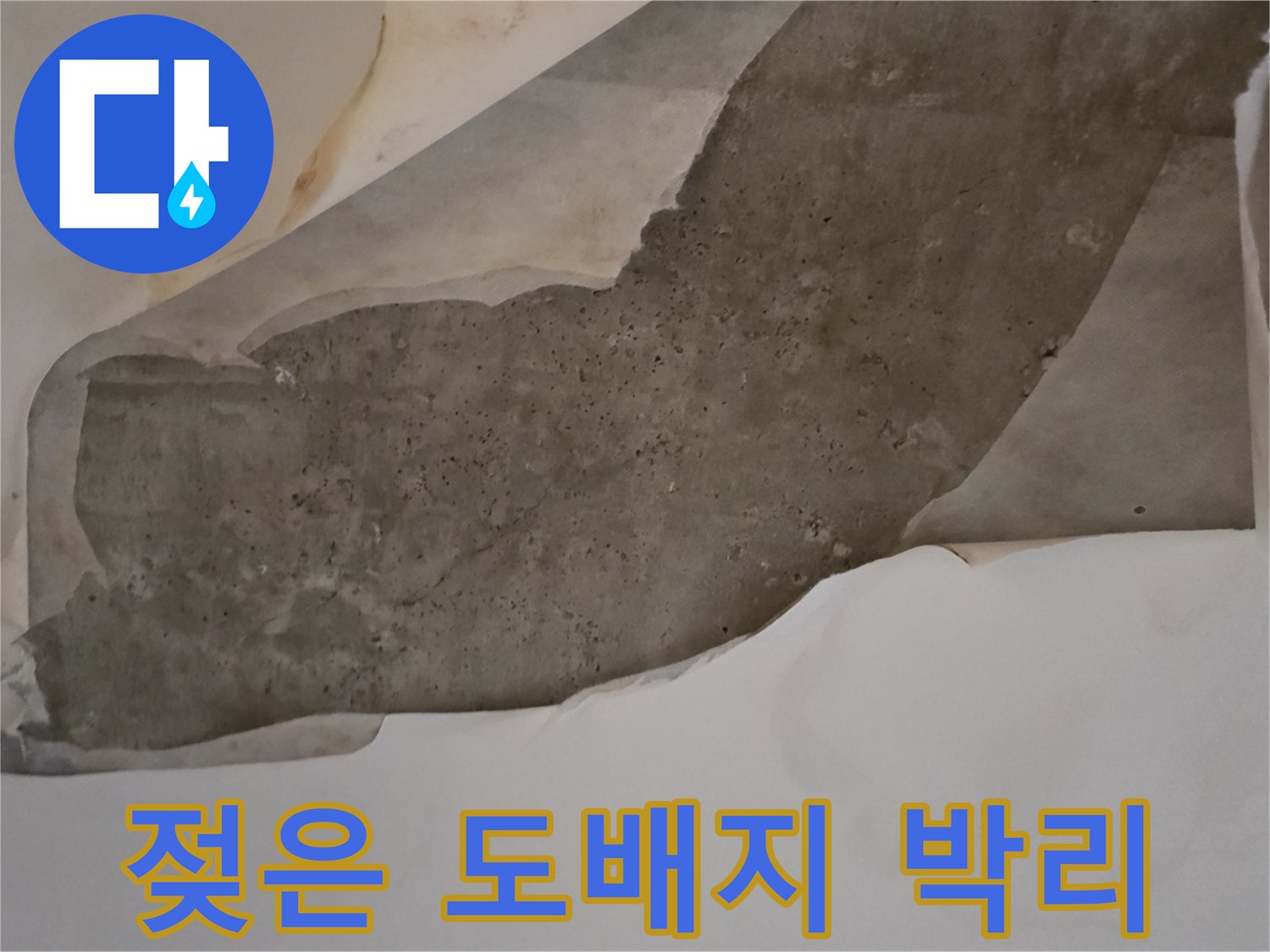 물샘으로 인한-천장 마감재의-박리 현상