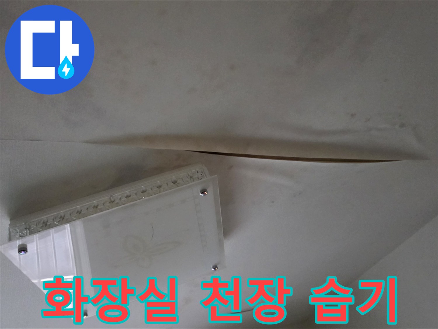 화장실-천장-부분별-습기-및-얼룩-상태