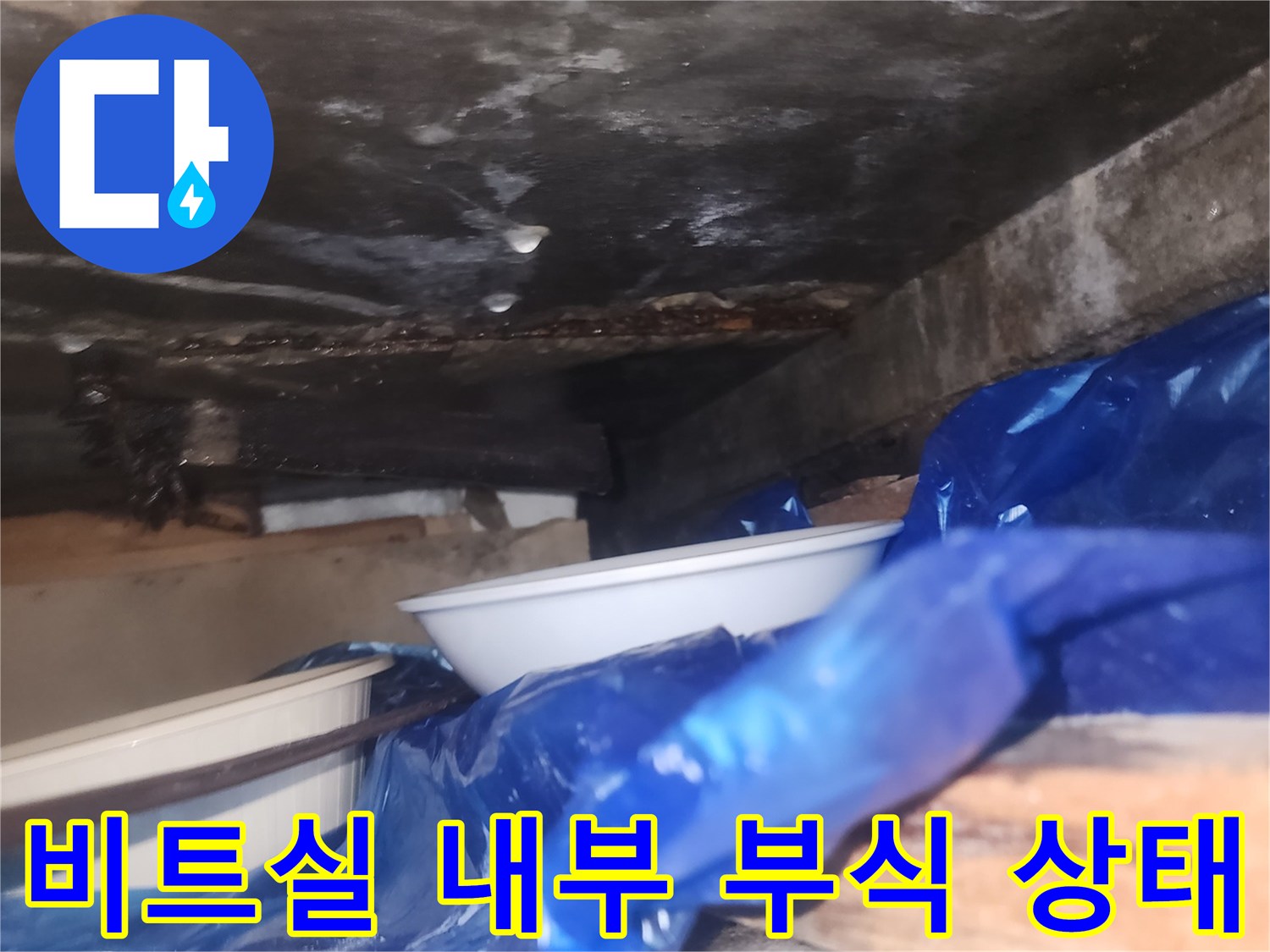 비트실-내부-철근-부식-및-습기-현황