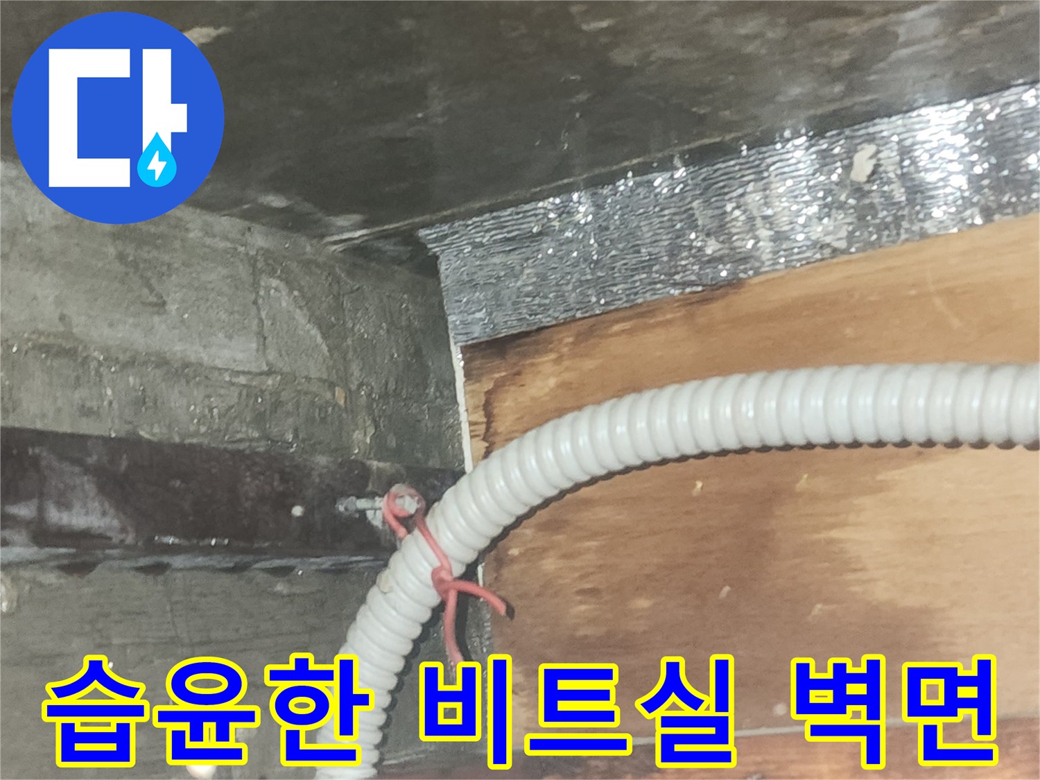 비트실-배관-주변의-젖은-벽체-및-자재-상태