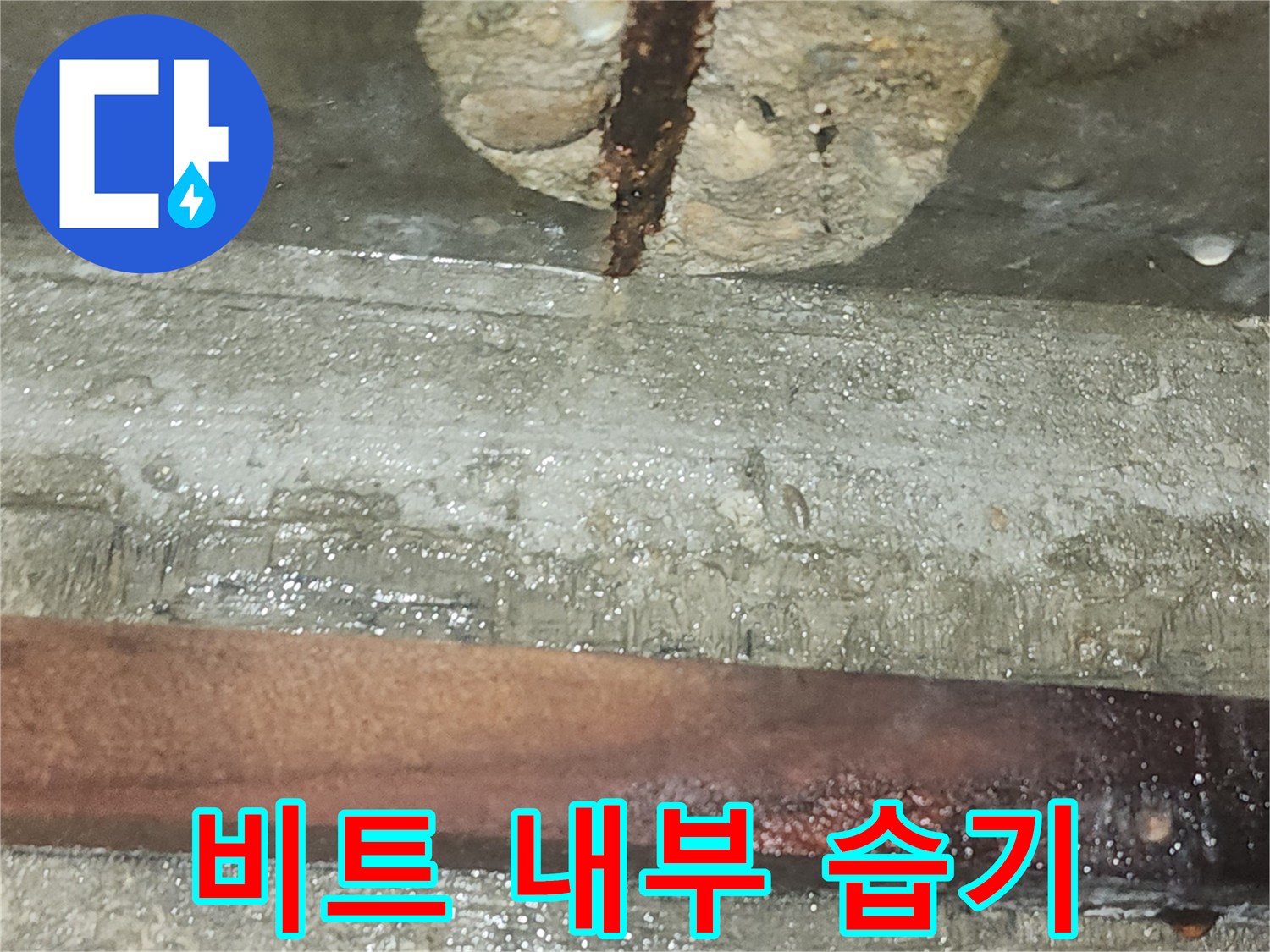습기가-스며든-비트실-내부-벽면과-철근