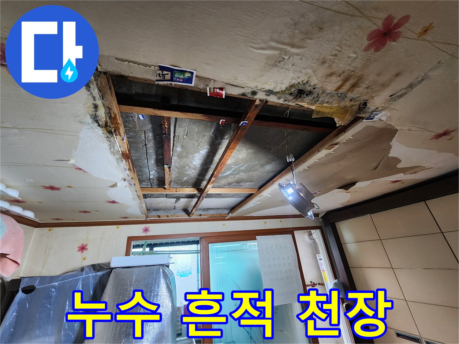 오염된 천장 마감재-및 곰팡이 발생 부위