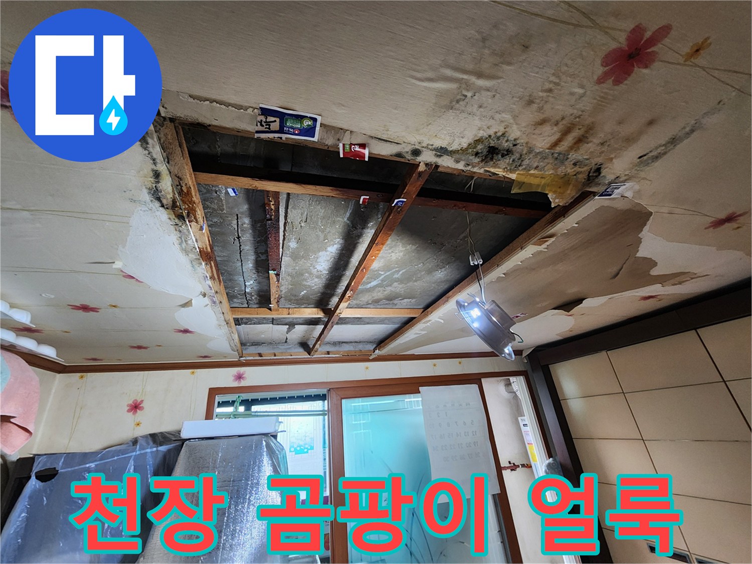 천장 내부의 곰팡이와 물자국 흔적