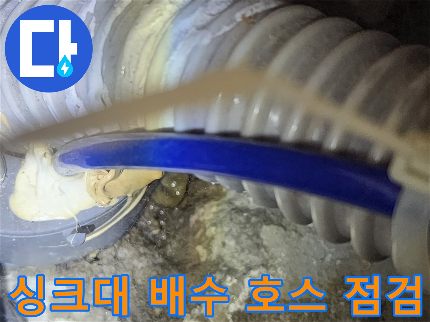 싱크대-배수-호스와-주변-배관의-오염상태-확인