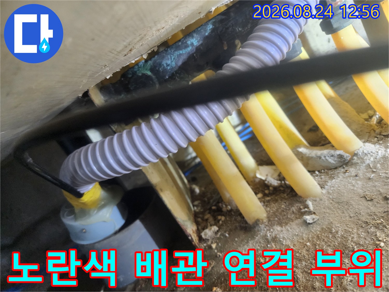 복잡하게 얽힌 노란색 하수관과 흰색 주름 호스 상세 사진