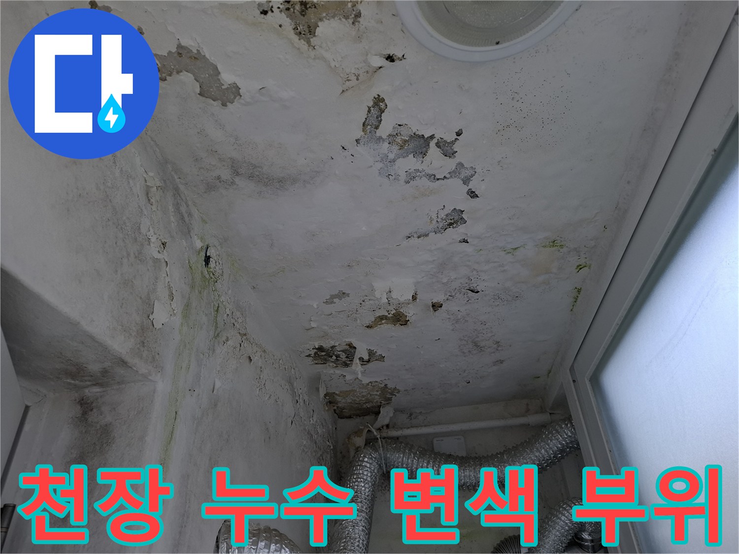 물샘으로 인한 천장 도장면의 갈변 현상